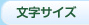 文字サイズ