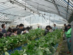 産地見学会③